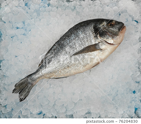 Close up raw Dorada sea bream fish on crushed ice 76204830