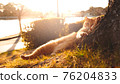 Regional cat 76204833