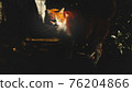 Regional cat 76204866