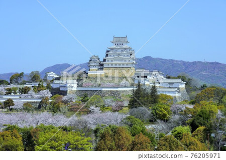 櫻花盛開姬路城堡 櫻花盛開姬路城堡 76205971