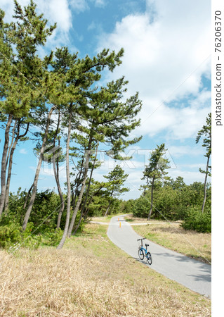 Yumigahama Cycling Course in Shirahama Aomatsu (Kaike Beach Route) Yumigahama Cycling Course in Shirahama Aomatsu (Kaike Beach Route) 76206370