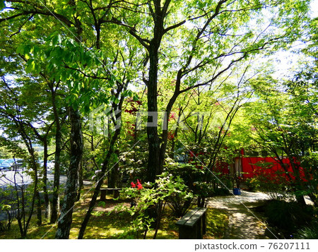 Summer resort Summer resort 76207111