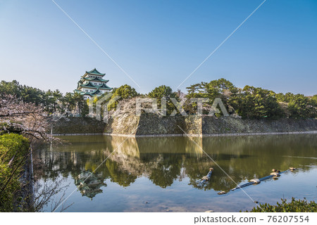 《Aichi Prefecture》 Nagoya Castle and Sakura 76207554