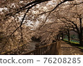 Sakura 16 76208285