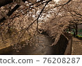 Sakura 17 76208287
