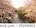 Sakura 32 76208461