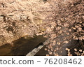 Sakura 33 76208462