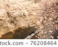 Sakura 34 76208464