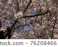 Sakura 35 76208466