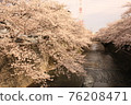 Sakura 37 76208471