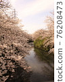 Sakura 38 76208473