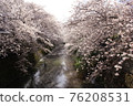 Sakura 40 76208531