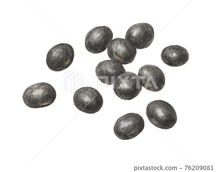 Black beans hand-painted watercolor pencil drawing 76209081