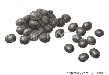 Black beans hand-painted watercolor pencil drawing Black beans hand-painted watercolor pencil drawing 76209083