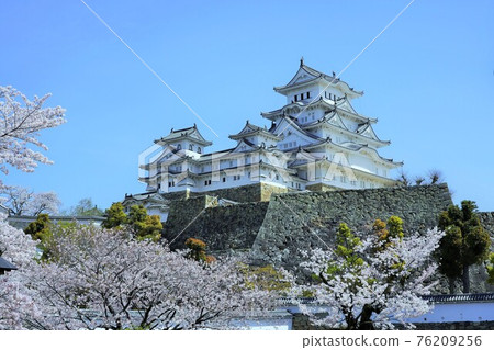 櫻花盛開姬路城堡 76209256