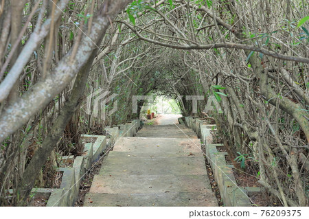 龍貓隧道 北竿 馬祖 龍貓隧道 北竿 馬祖 76209375