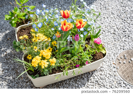 春天園藝 76209560