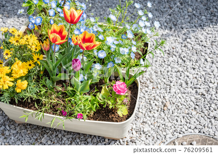 春天園藝 春天園藝 76209561