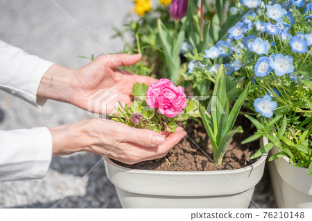 Spring gardening care 76210148