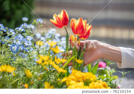 Spring gardening care 76210154