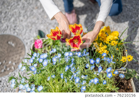 Spring gardening care Spring gardening care 76210156