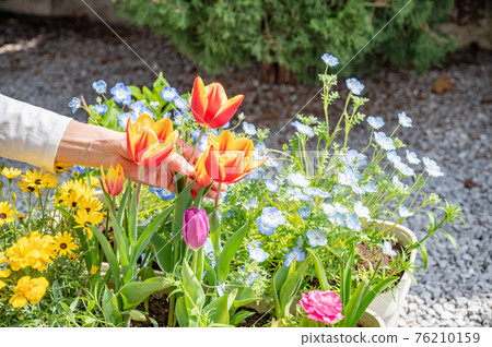 Spring gardening care Spring gardening care 76210159