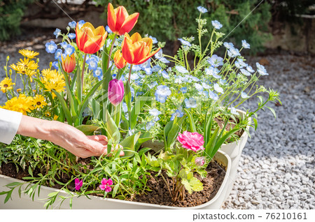 Spring gardening care 76210161