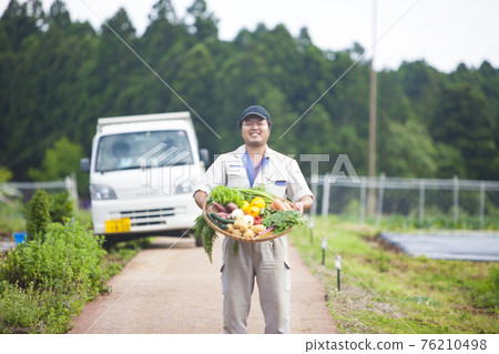 蔬菜農民 76210498