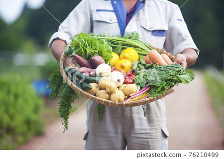 Vegetable farmer Vegetable farmer 76210499