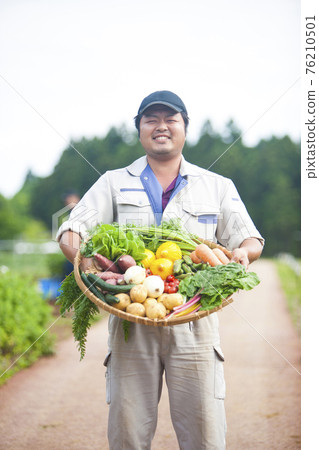 Vegetable farmer 76210501