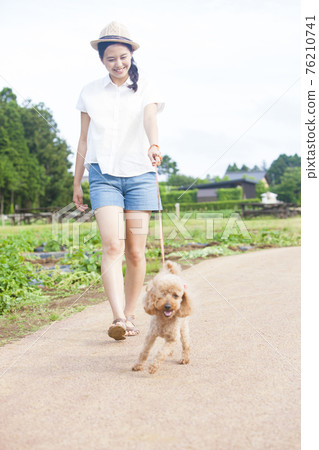 A woman walking with a dog A woman walking with a dog 76210741