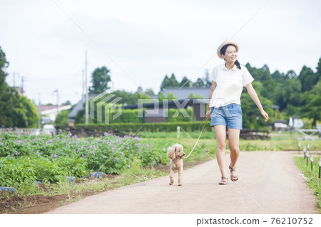 A woman walking with a dog 76210752
