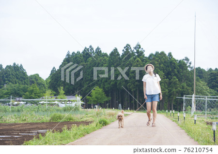 A woman walking with a dog 76210754