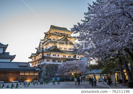 《愛知縣》名古屋城夜景 76211196