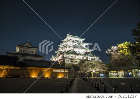 《愛知縣》名古屋城夜景 76211217