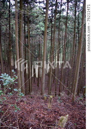 瀧北畑城【續日本城百強】 瀧北畑城【續日本城百強】 76211471