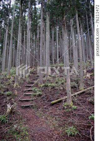 Taki Kitahata Castle [Continued Top 100 Japanese Castles] 76211472