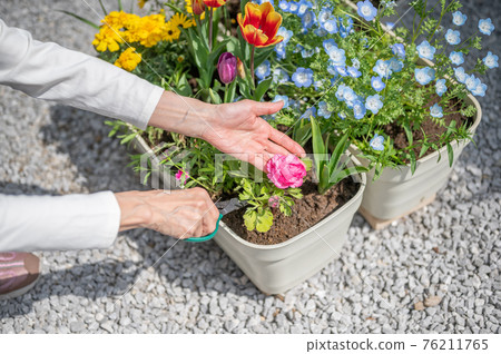 春季園藝修剪 76211765