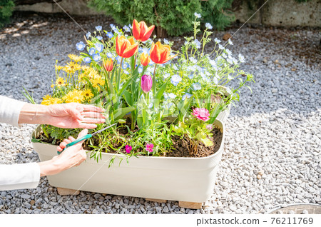 春季園藝修剪 76211769