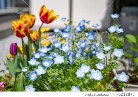 Spring gardening 76211873