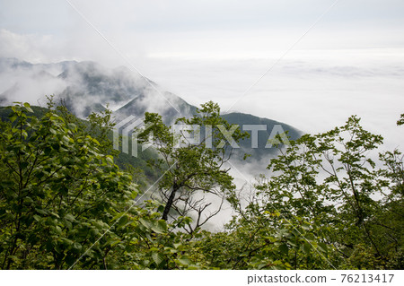Sea of clouds seen from the mountain Sea of clouds seen from the mountain 76213417
