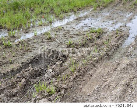 雨後有水的車轍風景 76213842
