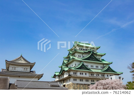 名古屋城、沒有金魚的天守閣和盛開的櫻花<愛知縣名古屋市> 名古屋城、沒有金魚的天守閣和盛開的櫻花<愛知縣名古屋市> 76214062