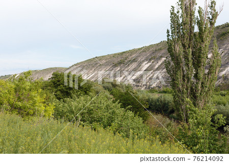 Lombardy poplar on the mountain slope. Lombardy poplar on the mountain slope. 76214092