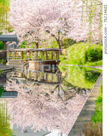 Fushimi Fushimi 76214685