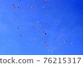 Red balloon floating in the blue sky 76215317
