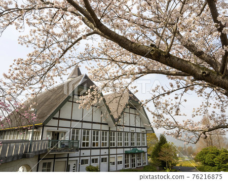 櫻花盛開的Green Hill Gohara 76216875