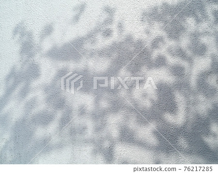 A white wall with shadows of trees and leaves like a shadow picture 76217285