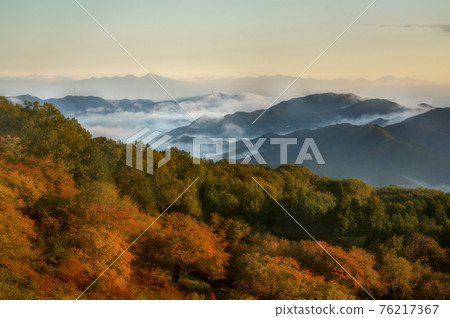 Autumn mountains and sea of clouds seen from Minoyama Park, Saitama Prefecture Autumn mountains and sea of clouds seen from Minoyama Park, Saitama Prefecture 76217367