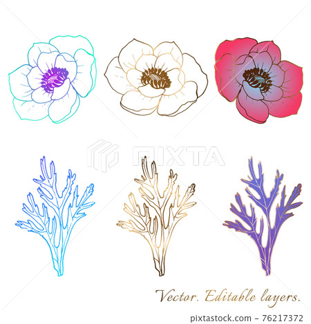 Plants line gold vectors. Anemone plant. Collection set of botanical design elements of flowers, buds. Gradient beautiful fill of elements. Perfect for brands, invitations and cards, packaging 76217372